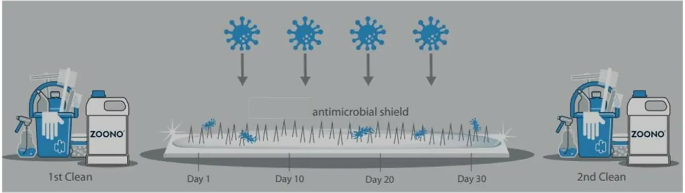 Zoono cleaning and antimicrobial protection timeline